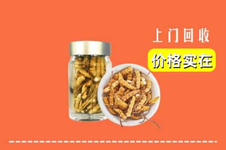 收购资讯:奉贤区回收散虫草