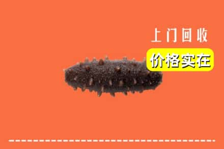 收购资讯:奉贤区回收海参